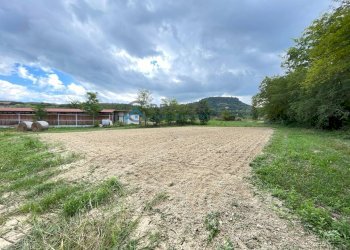 Azienda agricola Civitella del Tronto - foto 15