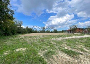 Azienda agricola Civitella del Tronto - foto 16