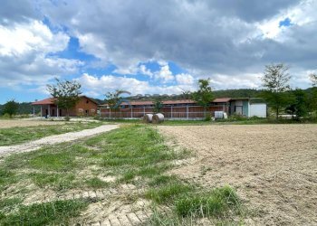 Azienda agricola Civitella del Tronto - foto 17