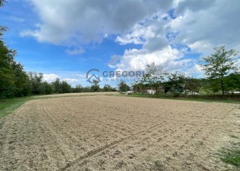 Azienda agricola Civitella del Tronto - foto 18