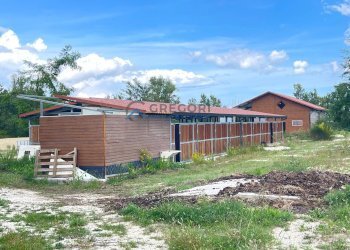 Azienda agricola Civitella del Tronto - foto 21