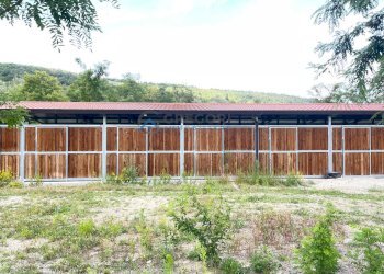 Azienda agricola Civitella del Tronto - foto 23