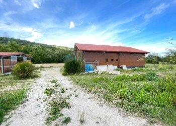Azienda agricola Civitella del Tronto - foto 24
