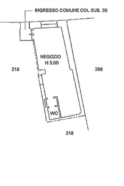 Negozio via Vittorio Emanuele II, Borgo Ticino - planimetria 1