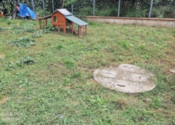 18.jpg - Villa Via dell'Iride 40, Perugia - foto 18