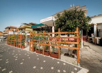 Negozio Anzio - foto 4