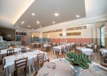 Negozio Anzio - foto 13