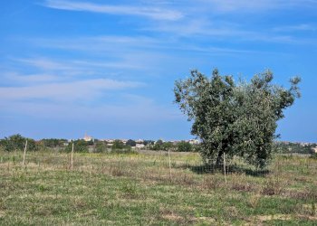 Rustic Massignano - photo 18