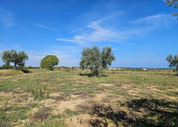 Rustic Massignano - photo 19