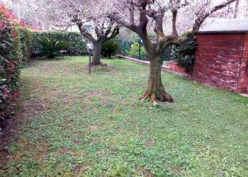 SAN29.jpg - Casa semi indipendente Santo Stefano di Magra - foto 23