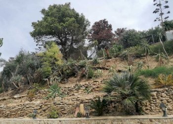 WhatsApp Image 2024-10-03 at 16.17.27.jpeg - Villa Balestrate - foto 6