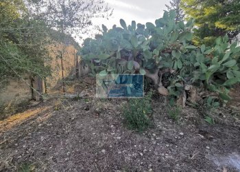 Villa Contrada San Paolo, Noto - foto 12