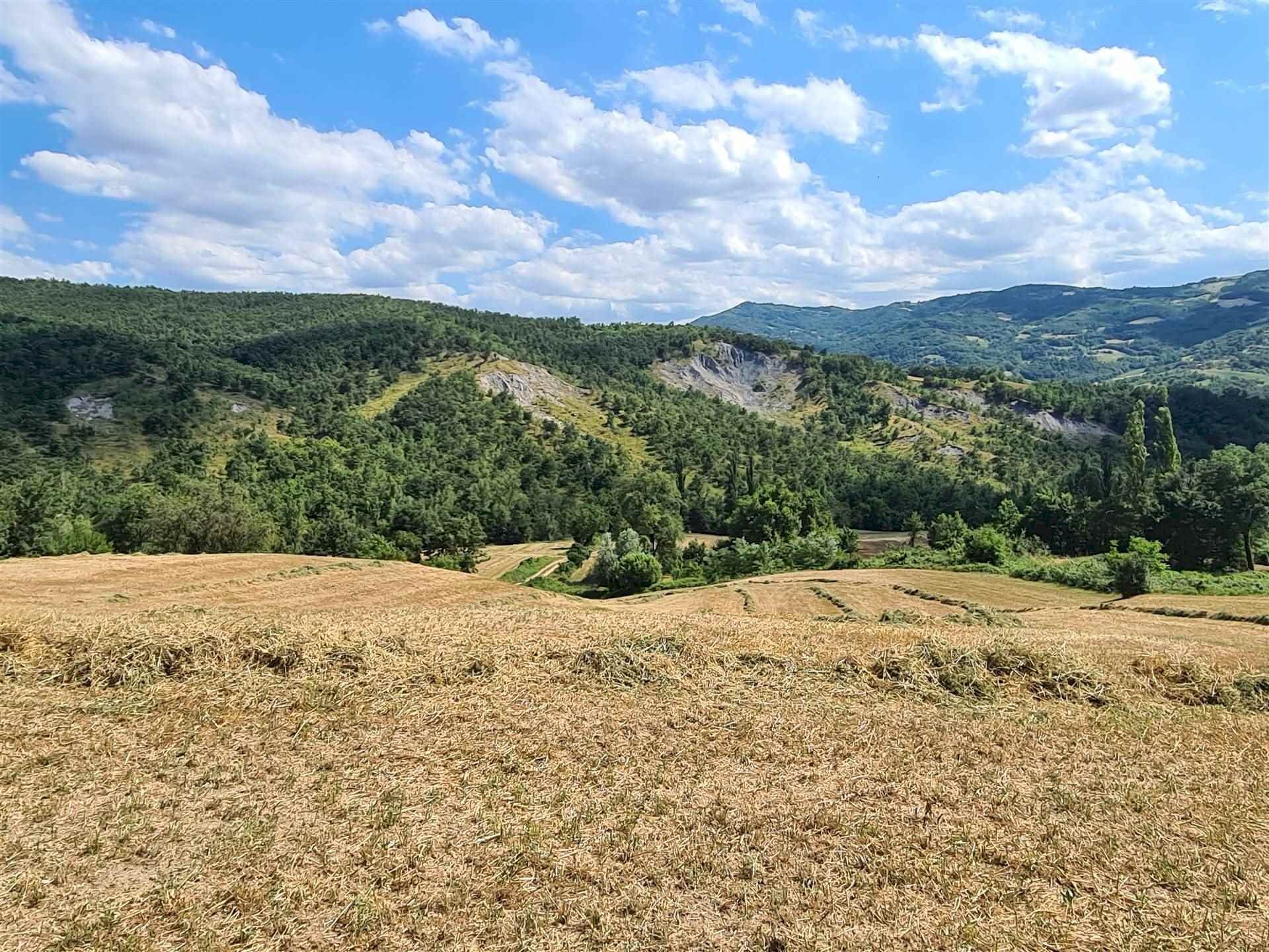 Rustico Prignano sulla Secchia - foto 2