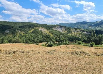 Rustico Prignano sulla Secchia - foto 2