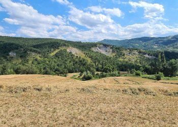 Rustico Prignano sulla Secchia - foto 28