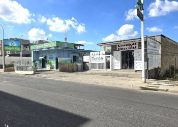 Attività Commerciale Crispano - foto 1