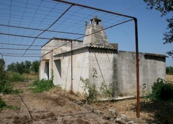 Immagine 003 (800x533).jpg - Terreno agricolo contrada mandrò, Cutrofiano - foto 5