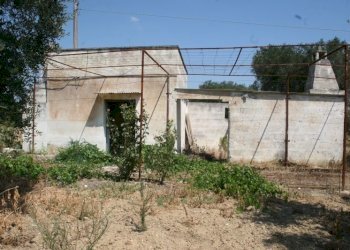 Immagine 004 (800x533).jpg - Terreno agricolo contrada mandrò, Cutrofiano - foto 6