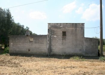 Immagine 007 (800x533).jpg - Terreno agricolo contrada mandrò, Cutrofiano - foto 17