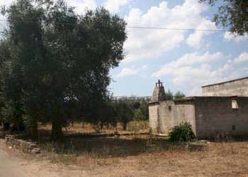 Immagine 036 (800x533).jpg - Terreno agricolo contrada mandrò, Cutrofiano - foto 27