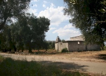 Immagine 038 (800x533).jpg - Terreno agricolo contrada mandrò, Cutrofiano - foto 28