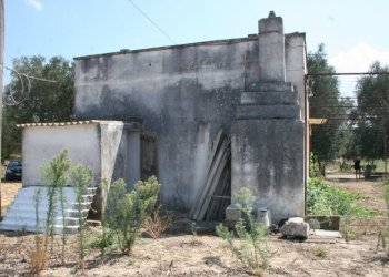 Immagine 005 (800x533).jpg - Terreno agricolo contrada mandrò, Cutrofiano - foto 29