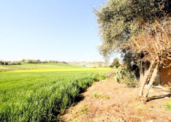 Independent house Via Gualdello, Longiano - photo 25