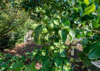 Villa Sanremo - foto 15