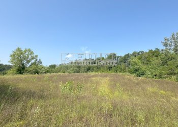 Terreno - Casale Località Valmanera, 102, Asti - foto 10