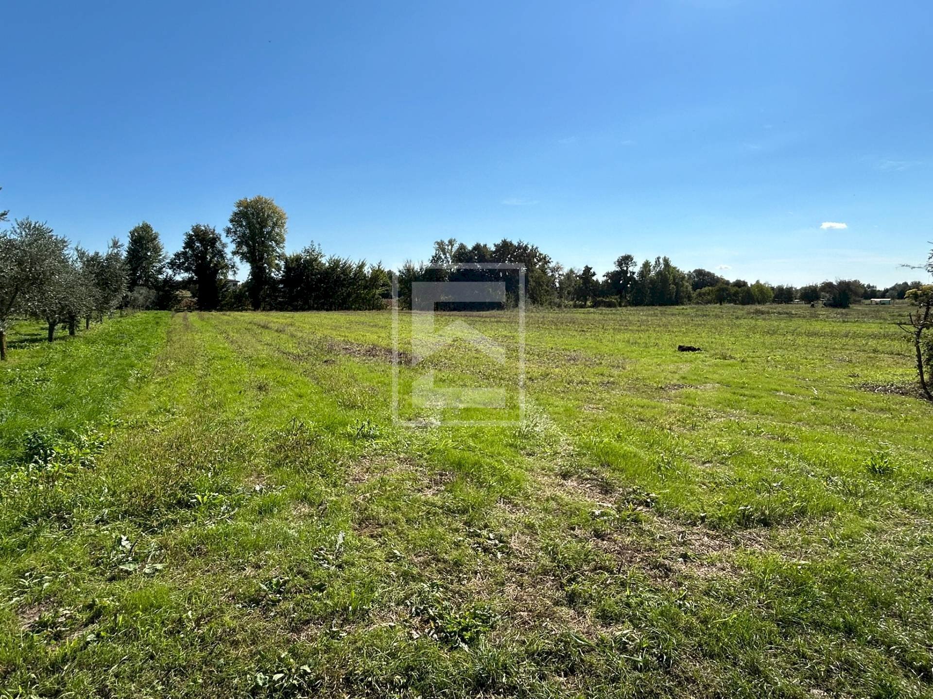 Agricultural land via valle, Manerba del Garda - photo 3