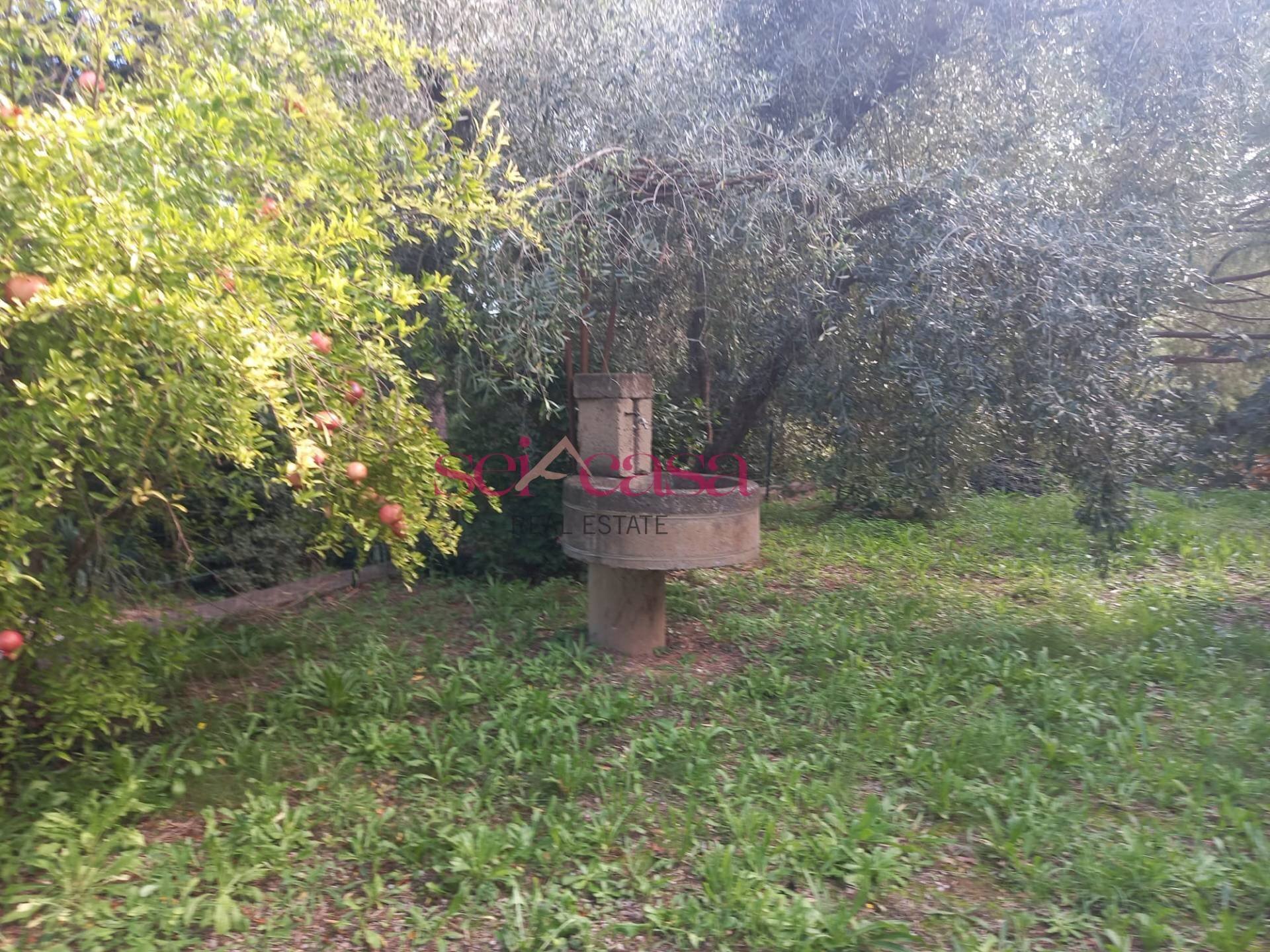 Semi-detached Villa Magliano in Toscana - photo 1