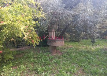 Villa Bifamiliare Magliano in Toscana - foto 1