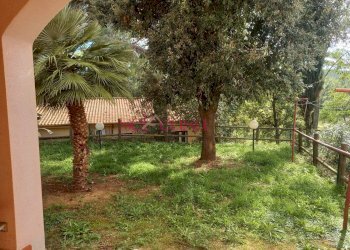 Villa Bifamiliare Magliano in Toscana - foto 5