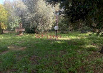 Villa Bifamiliare Magliano in Toscana - foto 8