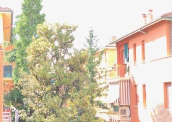 Appartamento via del Giacinto, 4, Bologna - foto 13