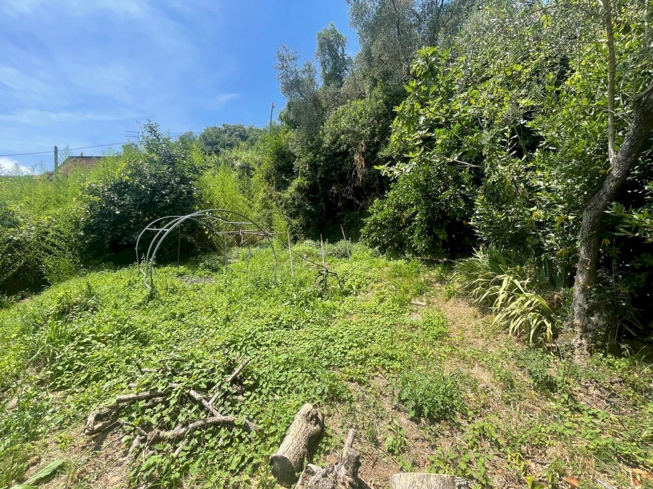 WhatsApp Image 2024-07-06 at 12.43.00-9.jpeg - Villa Ameglia - foto 2