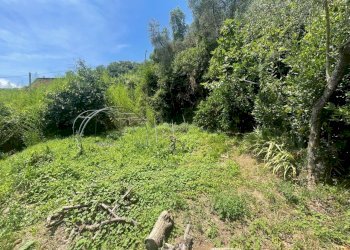 WhatsApp Image 2024-07-06 at 12.43.00-9.jpeg - Villa Ameglia - foto 2