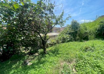 WhatsApp Image 2024-07-06 at 12.43.00-10.jpeg - Villa Ameglia - foto 3