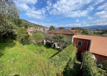 Ameglia prato 2.JPG - Porzione di casa Ameglia - foto 8