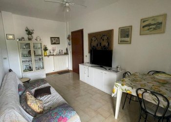 WhatsApp Image 2024-11-05 at 11.39.50.jpeg - Trilocale Luni - foto 5