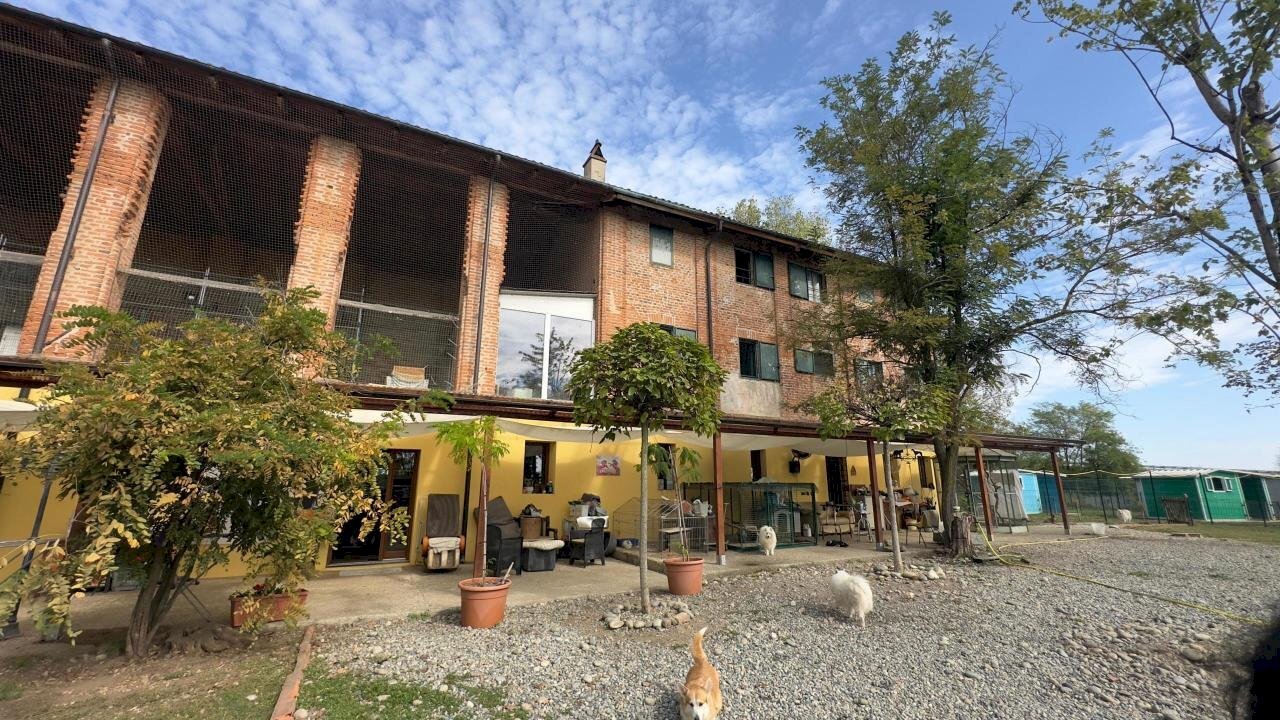 Facciata - Casale via umberto 1, Greggio - foto 3