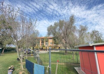 Terreni - Casale via umberto 1, Greggio - foto 2