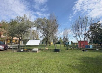 Giardino - Casale via umberto 1, Greggio - foto 5