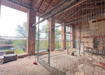 Soppalco - Casale via umberto 1, Greggio - foto 15