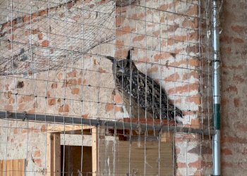 Gufo - Casale via umberto 1, Greggio - foto 16