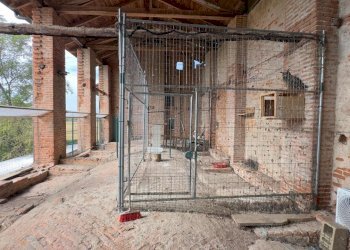 Tettoia - Casale via umberto 1, Greggio - foto 17