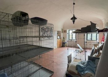 Camera - Casale via umberto 1, Greggio - foto 20