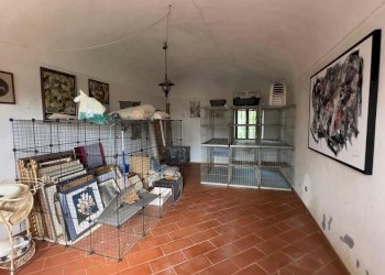 CAmera - Casale via umberto 1, Greggio - foto 25