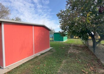 Capanni - Casale via umberto 1, Greggio - foto 28