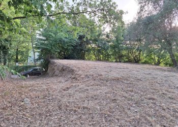 20240618_193752.jpg - Terreno agricolo Via Mossa Dei Barberi  61, Morlupo - foto 5